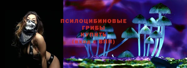 стаф Саяногорск