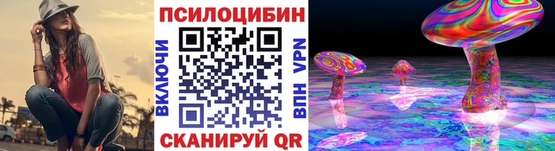 купить   Верея  Псилоцибиновые грибы Cubensis 